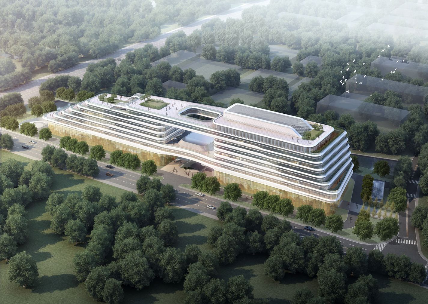 首页- 尊龙集团中国官网入口