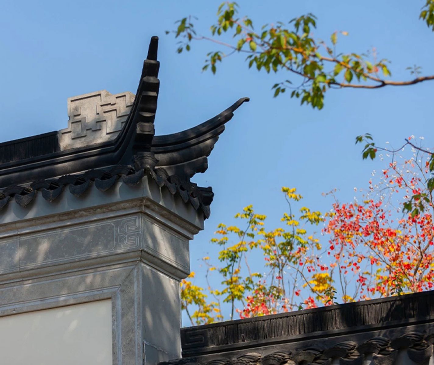 首页- 尊龙集团中国官网入口