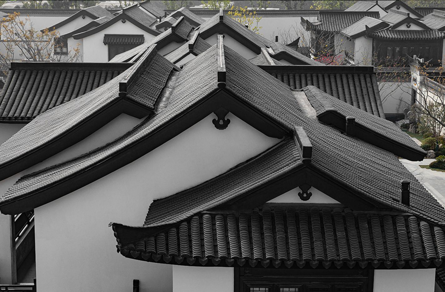 首页- 尊龙集团中国官网入口