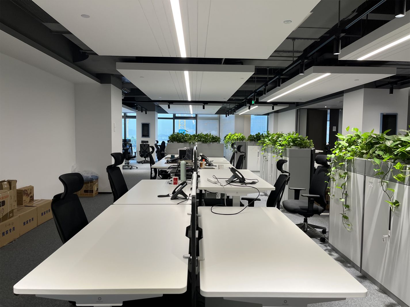 首页- 尊龙集团中国官网入口